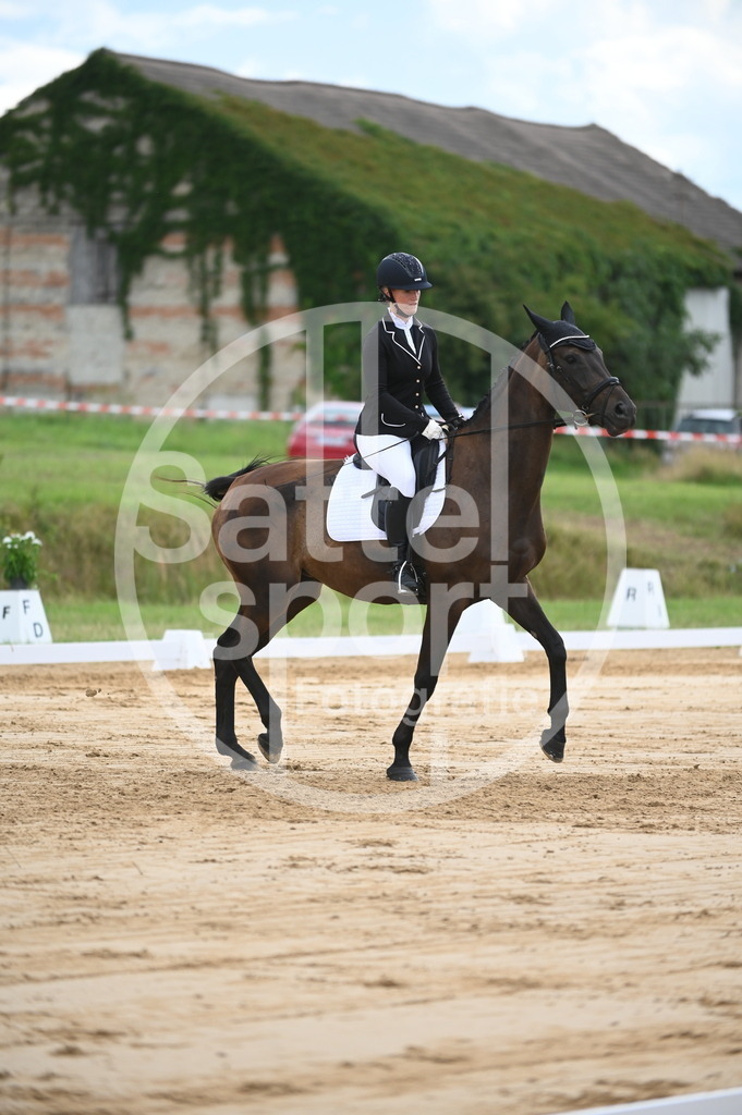 DSC_7342 | sattelsport - Realisiert mit Pictrs.com