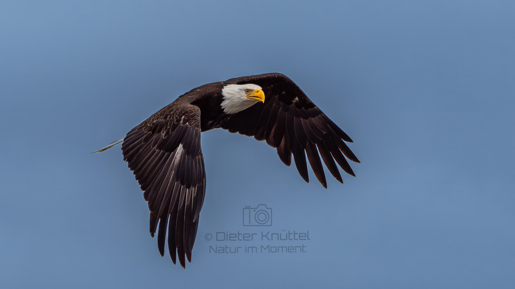 P1628320-Bearbeitet-2023-LR | Natur im Moment - Realisiert mit Pictrs.com