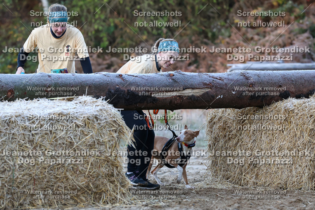 Dog Paparazzi - Strongdog 10-25-320 | Dog Paparazzi Jeanette Grottendiek Fotografie & Videografie - Realisiert mit Pictrs.com