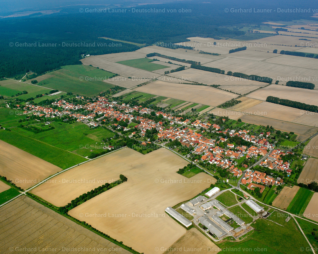 2589258 | Kammerforst
