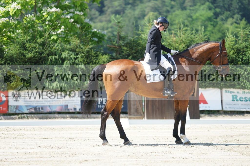 DSC02241 | equestrian-live-com