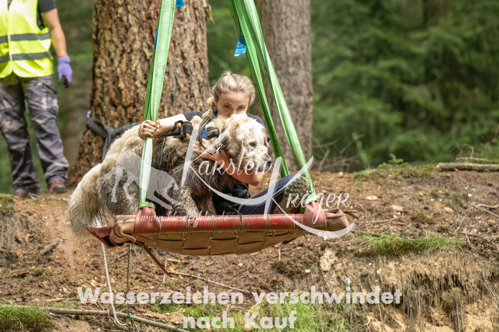 1258_ZZ91847-Bearbeitet | kk-dogfotos