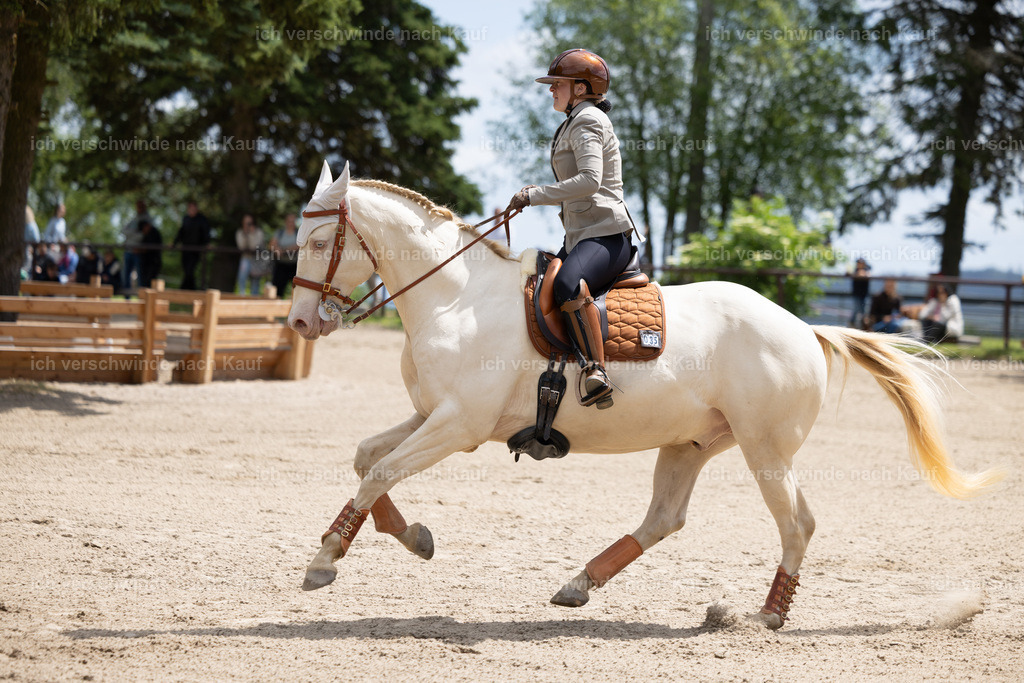 Masterclass_stoibphotography_C2_C7959.CR3 | working equitationturnier fotograf videograf stoibphotography marixx film working equitation deutschland reitsport turnierfotografie eventfotografie equestrian events