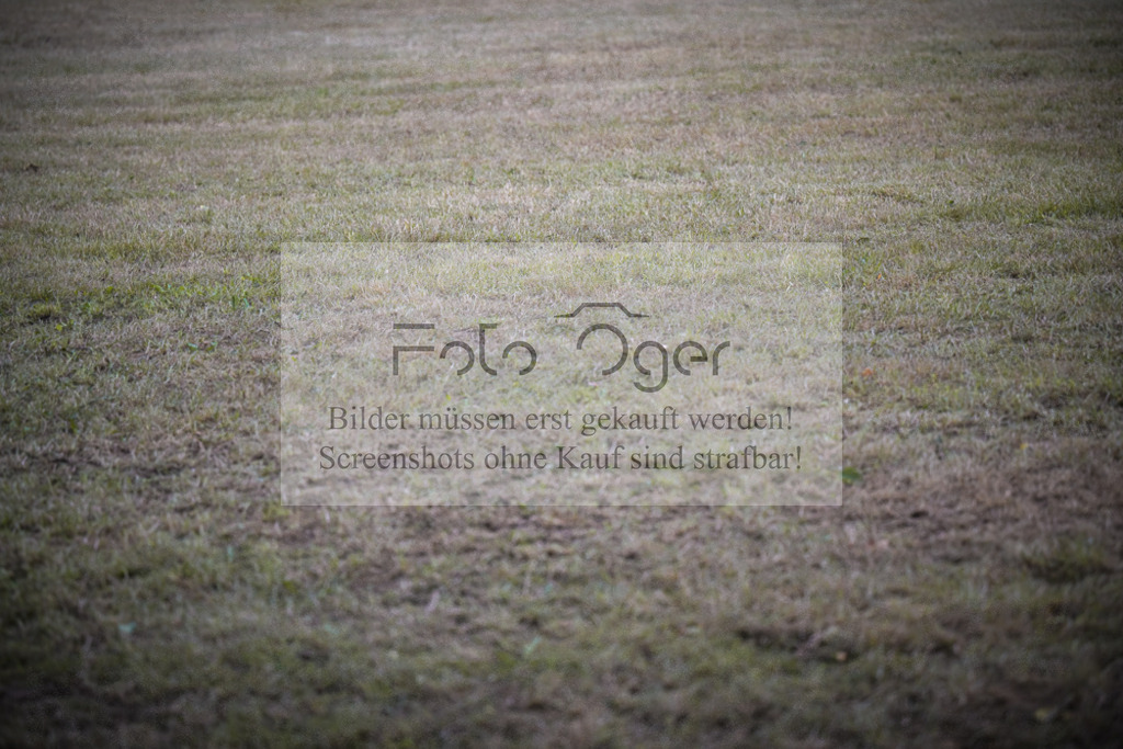 DOS_0068 | Entdecke hochwertige Reitturnierfotos von Foto Oger. Professionell, emotional und authentisch – jetzt Lieblingsmomente im Shop bestellen.Deutschlandweite Turnierfotografie. - Realisiert mit Pictrs.com