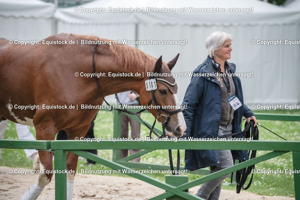 20240518_Impressionen_0076 | Foto: Thomas Hartig