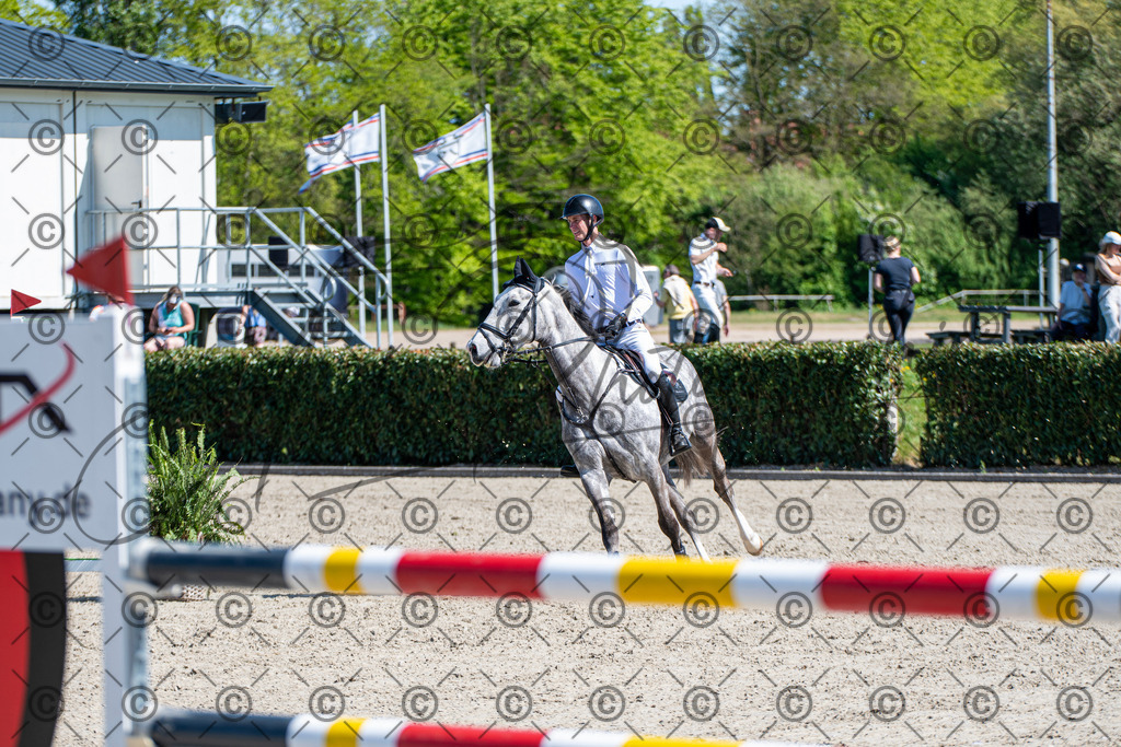 KPT_1303 | andre_photographic