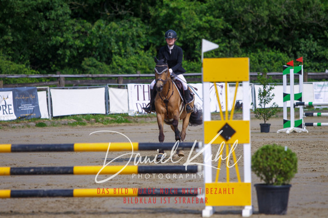 DKP41302 | Turniersportfotografie; Pferdefotografie; Dressurfotografie