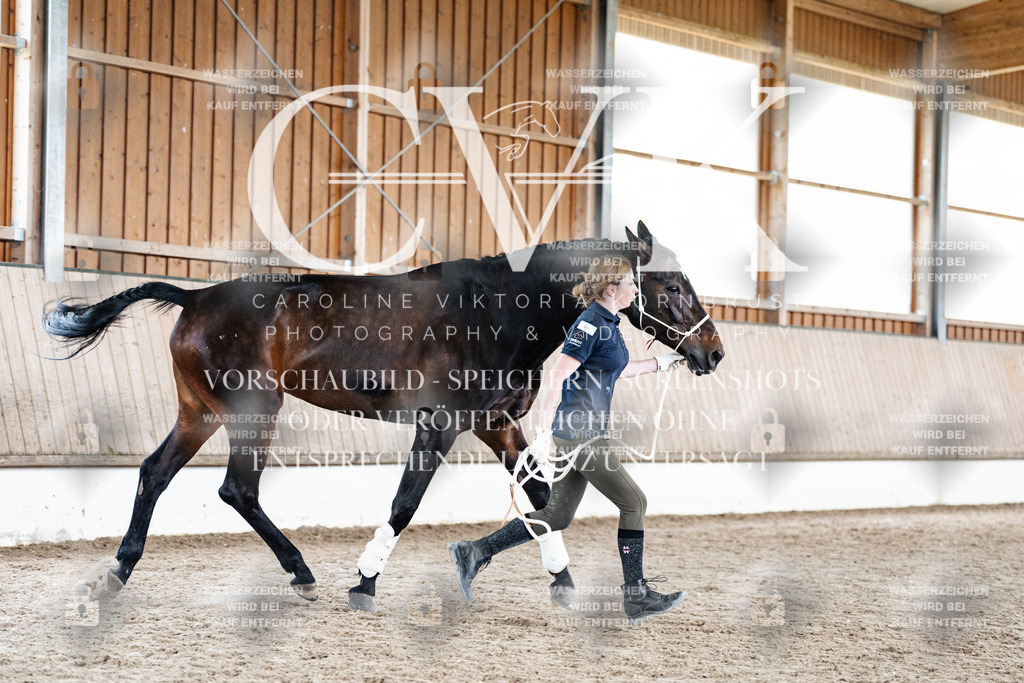CK908095 | Turnierfotografie Pferdefotografie Trier Rheinland-Pfalz Pferdesport Reitsport Tierfotografie Sportfotografie Pferdevideo Pferdevideografie Equestrianvideography equestrianphotography  - Realisiert mit Pictrs.com