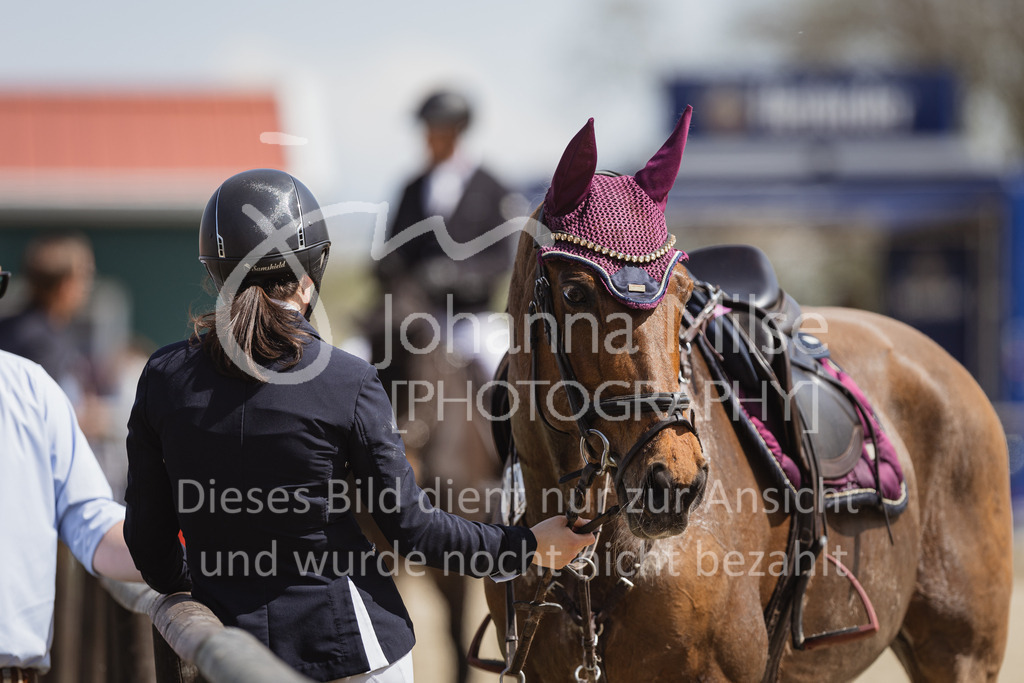 230501_SpengeW_M2St-246 | Deine schönsten Turniermomente als professionelle Fotos! Entdecke hochwertige Pferdesport-Fotografie im Online-Shop. Jetzt Fotos finden & bestellen!