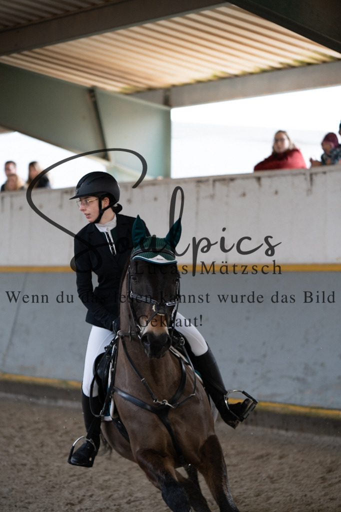 A7V04099 | Pferdefotograf