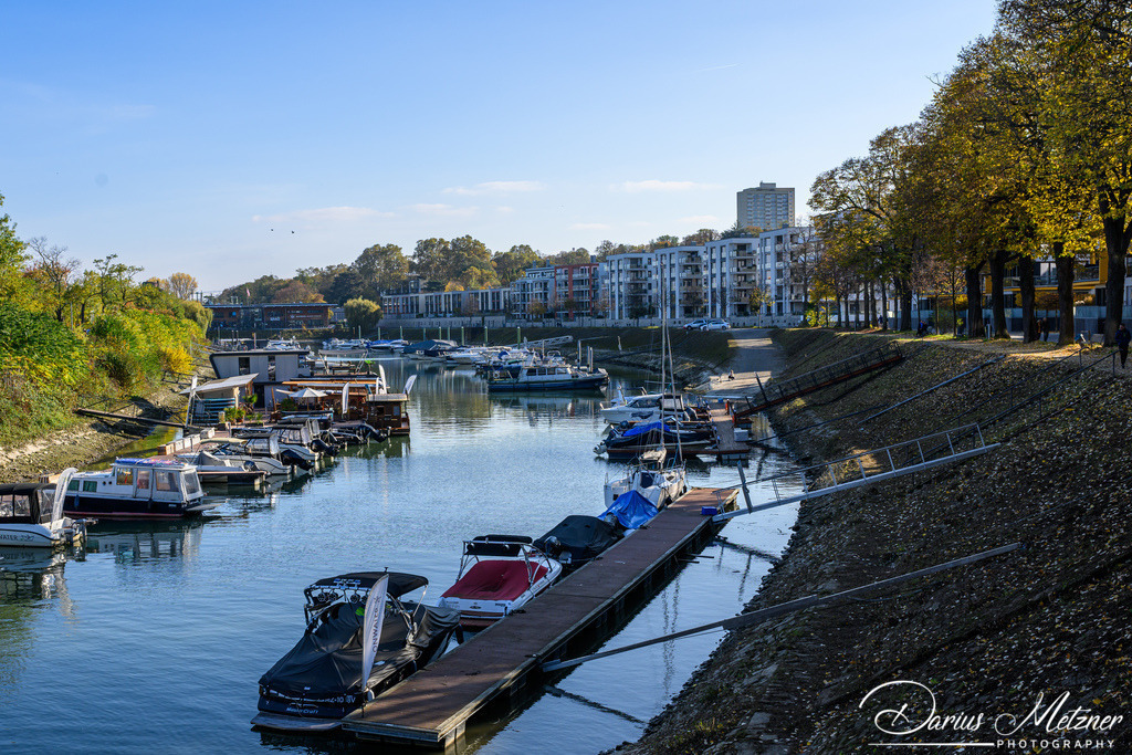 DSC_7211 | Fotografien, Fotos und Bilder aus Mainz, Frankfurt, Wiesbaden und anderen Orten auf der Welt - Fotografiert von Darius Metzner