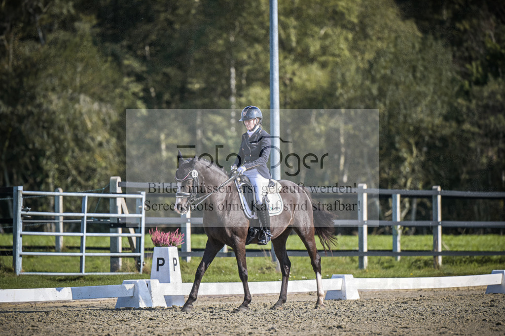 DOS_3227 | Entdecke hochwertige Reitturnierfotos von Foto Oger. Professionell, emotional und authentisch – jetzt Lieblingsmomente im Shop bestellen.Deutschlandweite Turnierfotografie. - Realisiert mit Pictrs.com