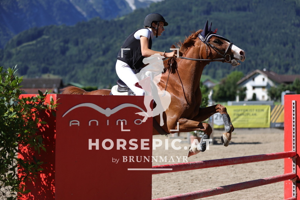 0P6A5201 | Willkommen bei Brunnmayr - Design & Fotografie – Ihrem Spezialisten für Reitturniere und Pferdeveranstaltungen in Oberösterreich, Salzburg und Bayern! Seit über 17 Jahren sind wir leidenschaftlich dabei.