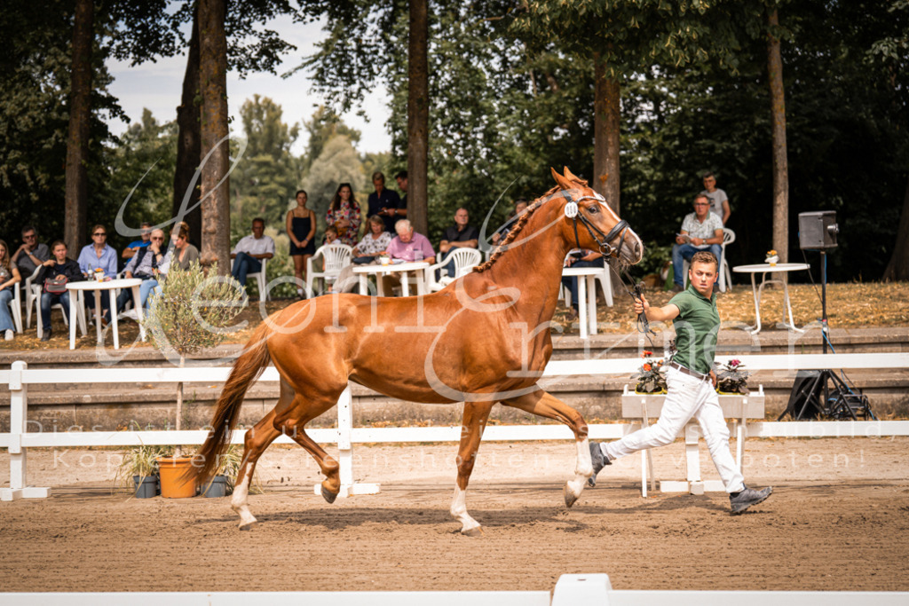 4.Fr00150 | Leoni Ertmer Photography - Realisiert mit Pictrs.com