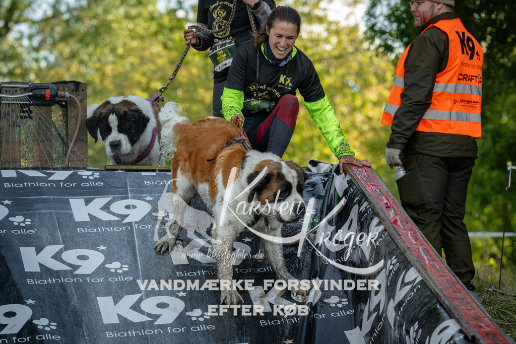1600_ZZ91742 | kk-dogfotos