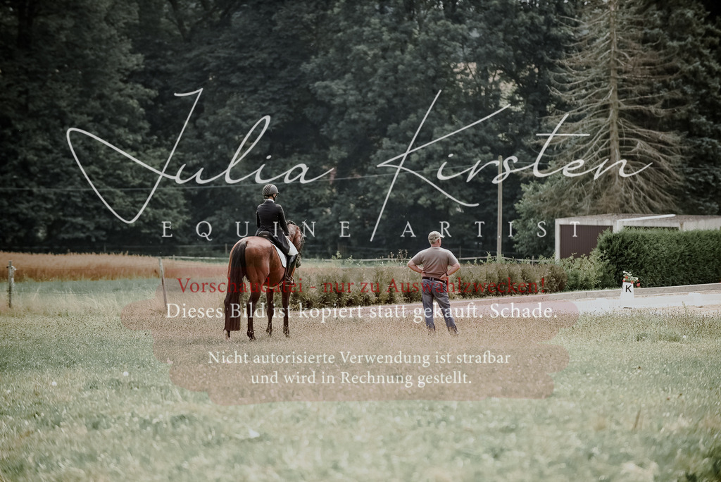 DSC_4272 | Pferde- und Turnierfotografie in Westsachsen. Pferdeportraits, Auftragszeichnungen und intuitive Kunst.