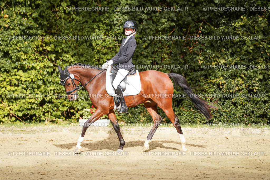 DSC09585 | Pferdegrafie