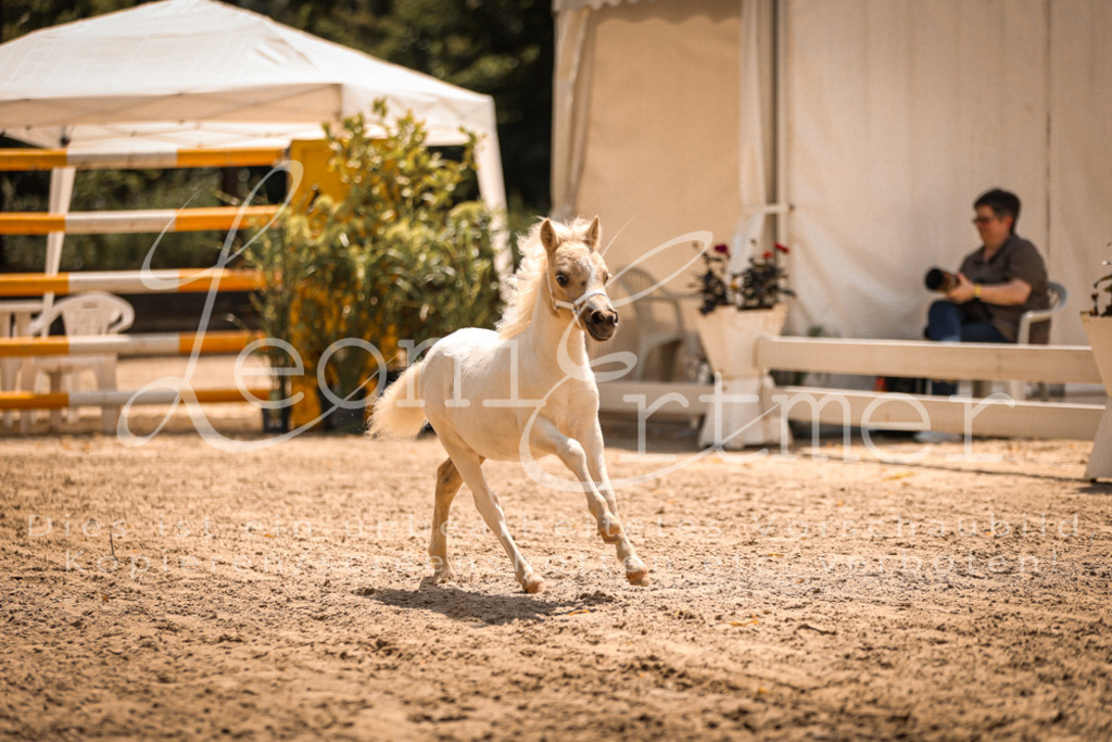 01.DoKR00174 | Leoni Ertmer Photography - Realisiert mit Pictrs.com