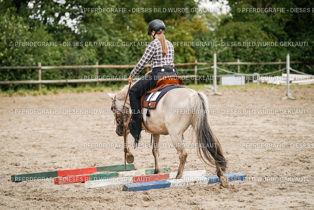 DSC09887 | Pferdegrafie