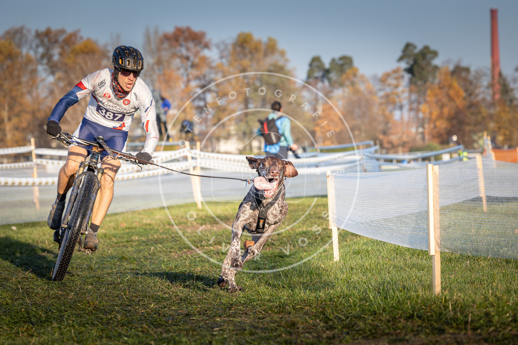 CaniXpix_0L8A3810 | Hundefotografie, Tierfotograf, Pfotenfotografie, Fotoshooting Hund, Hunde Portrait, Hundesport, Hundeportraits, Heideshooting, Hunde, Sportfotograf, Hundefotograf, Turnierhundsport, THS,  - Realisiert mit Pictrs.com