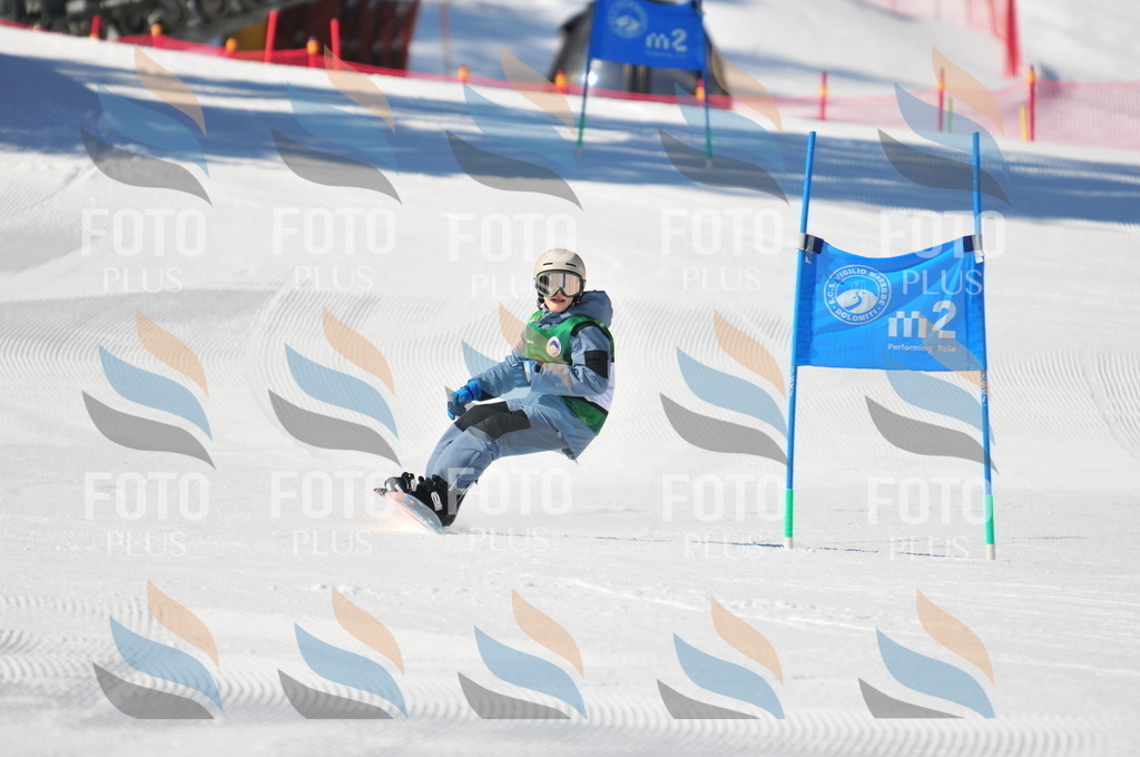 C2399 | holidayphoto