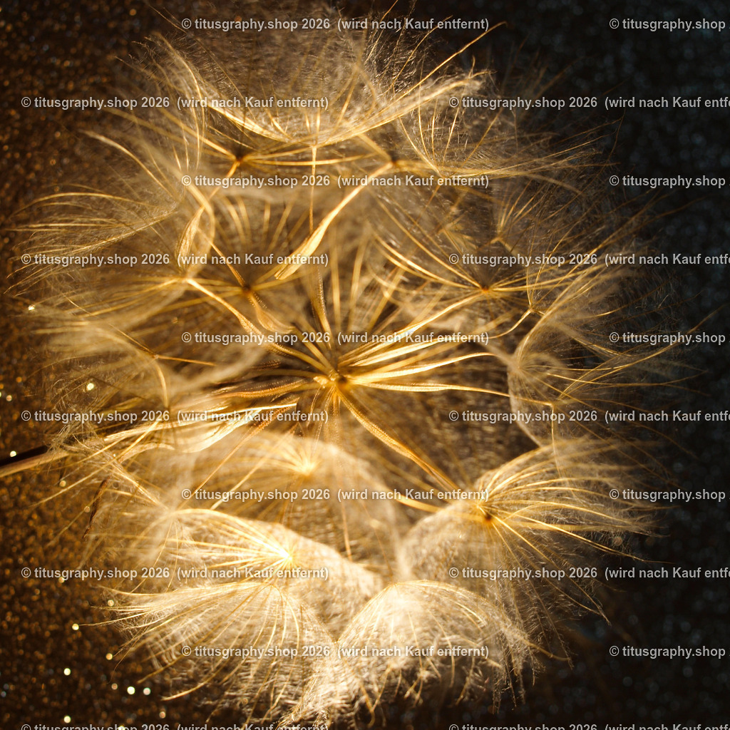 P2043607_edited | OLYMPUS DIGITAL CAMERA - Realisiert mit Pictrs.com