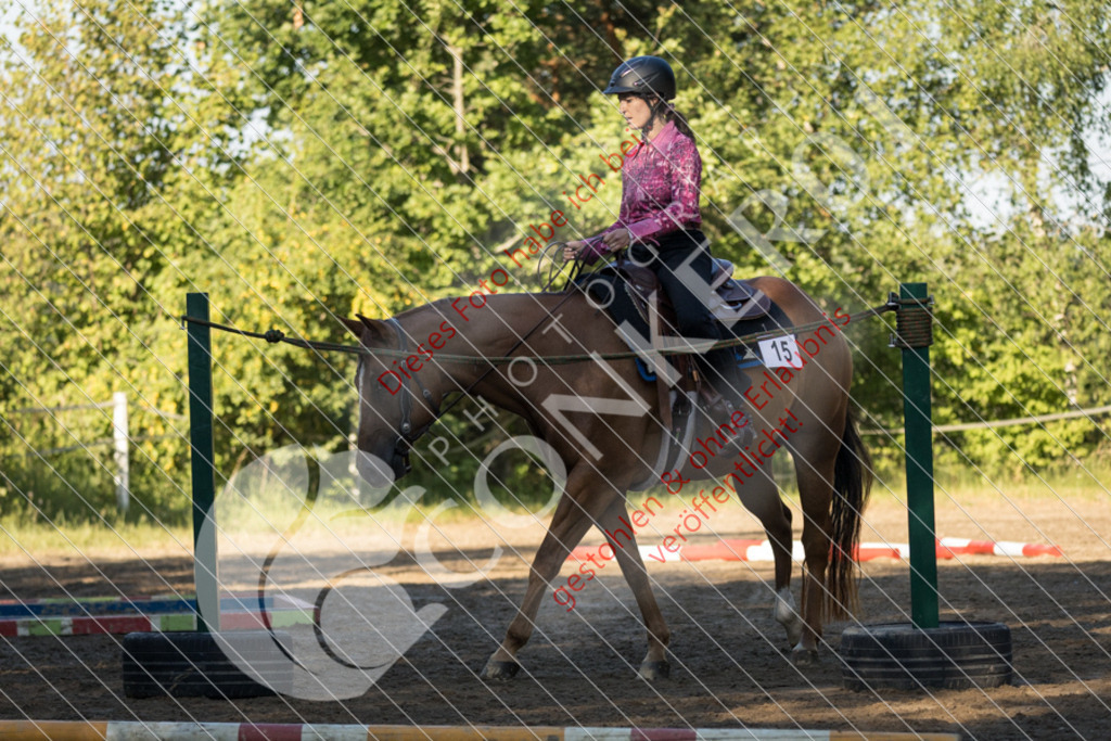 IMG_6241 | Sport-, Event- und Tierfotos in Profiqualität. Einfach auswählen, bestellen und herunterladen. Dein Moment – perfekt festgehalten.