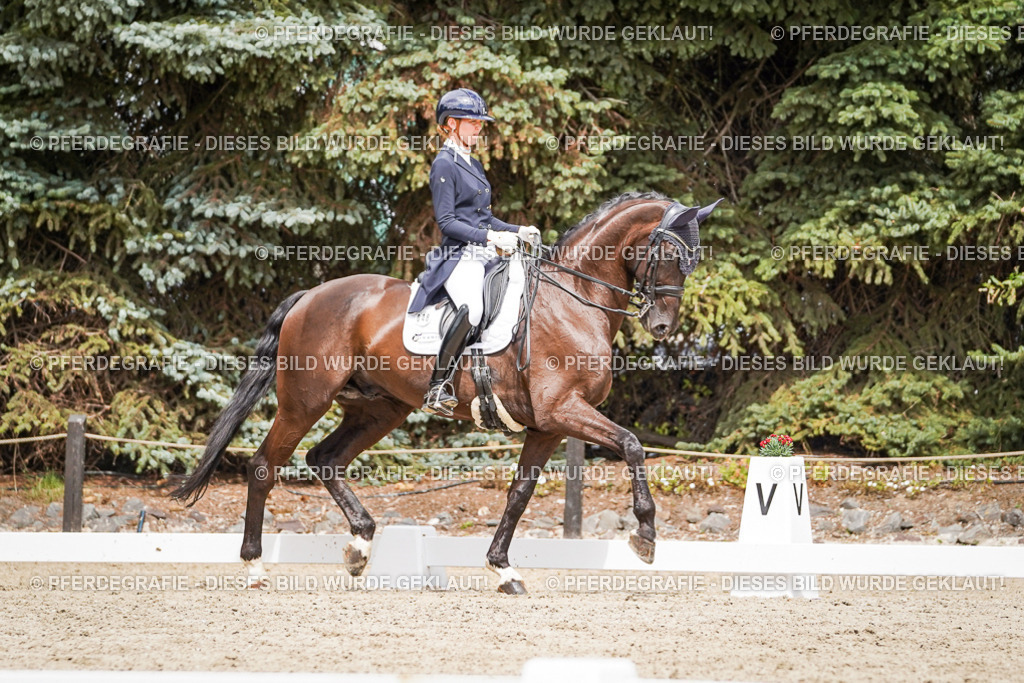 DSC05993 | Pferdegrafie