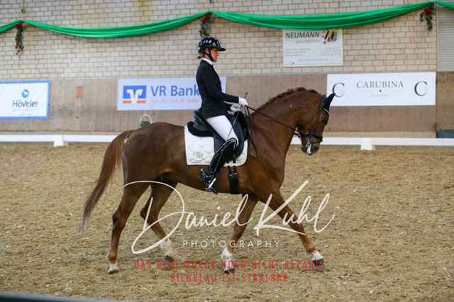 IMG_2941 | Turnierfotos kaufen im Webshop von Daniel Kuhl Photography – entdecke professionelle Reitsportfotos aus Turnieren & Events. Hochwertige Turnierbilder online bestellen & sichern. Jetzt Fotos von Reitsportturnieren kaufen!