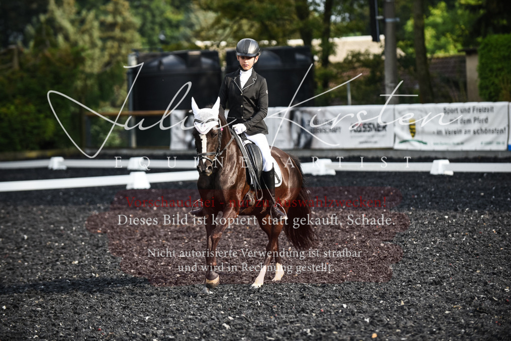 DSC_3407 | Pferde- und Turnierfotografie in Westsachsen. Pferdeportraits, Auftragszeichnungen und intuitive Kunst.