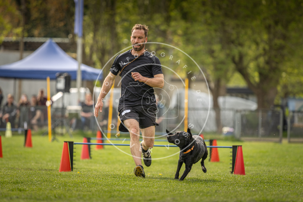 Pfotenfotografie_DV3A6211 | Hundefotografie, Tierfotograf, Pfotenfotografie, Fotoshooting Hund, Hunde Portrait, Hundesport, Hundeportraits, Heideshooting, Hunde, Sportfotograf, Hundefotograf, Turnierhundsport, THS,  - Realisiert mit Pictrs.com