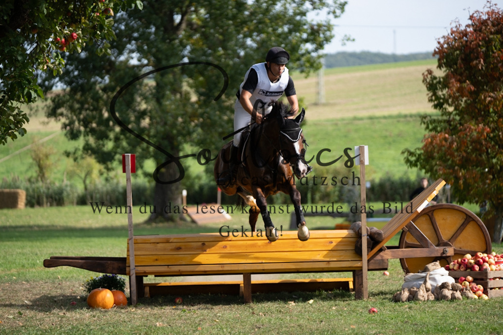 A7V03818 | Pferdefotograf