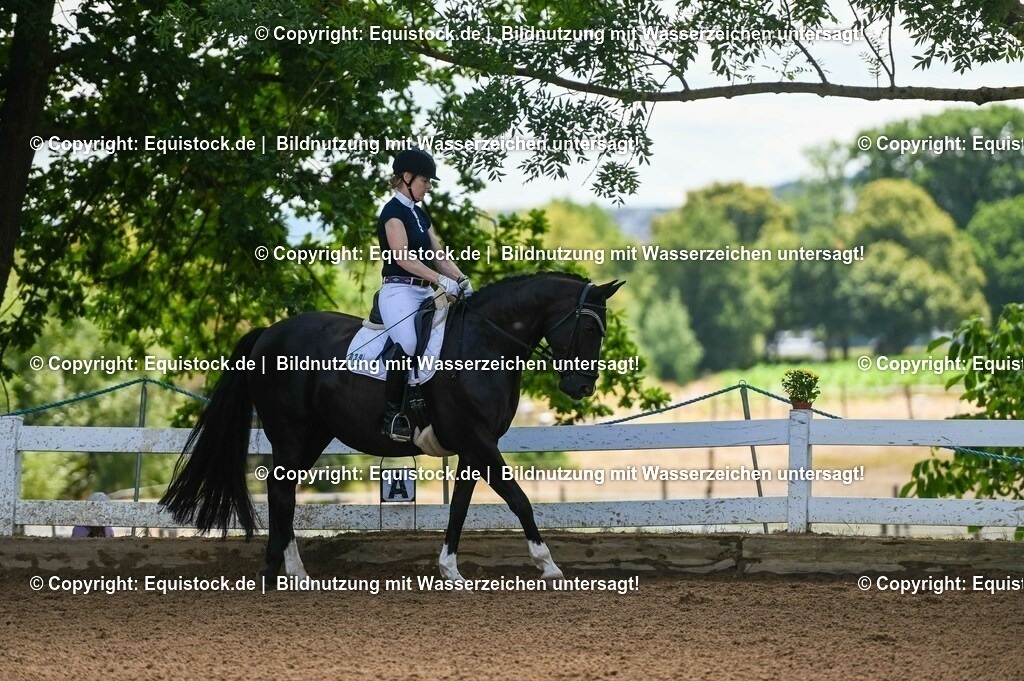 20230716_03_Dressurprfg. Kl.L - Tr._0145 | equistock