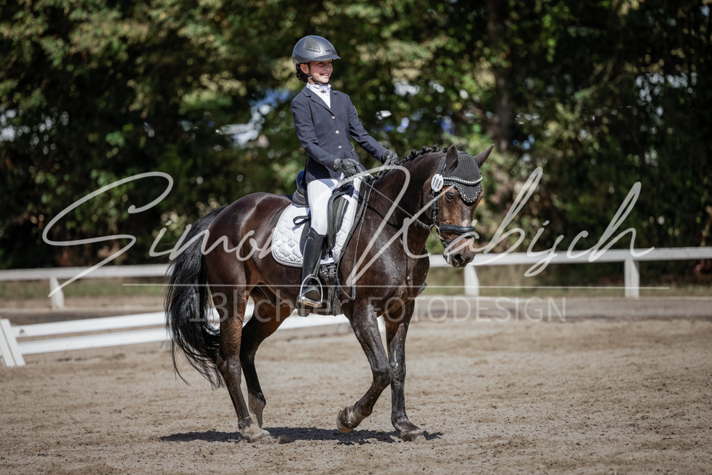 20250906-_3LI5269 | Tierfotografie Pferde, Hunde, Katzen, Haustiere.
Turnierfotografie Reitturniere, Reiten, Springreiten, Dressur in Hanau, dem Main-Kinzig-Kreis und dem Rhein-Main- Gebiet um Frankfurt