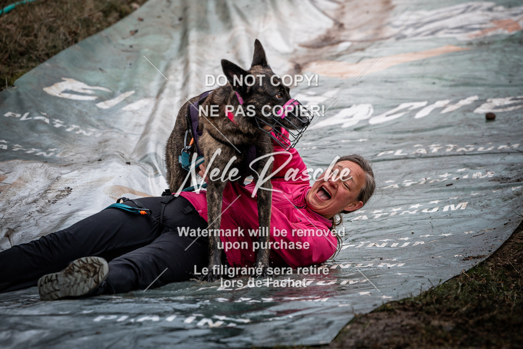 nelerasche_1100-1130_05 | nelerasche