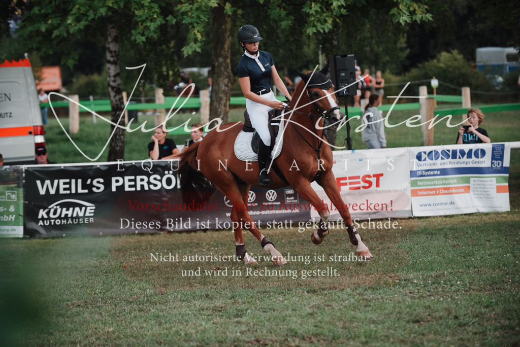 DSC_5604 | Pferde- und Turnierfotografie in Westsachsen. Pferdeportraits, Auftragszeichnungen und intuitive Kunst.