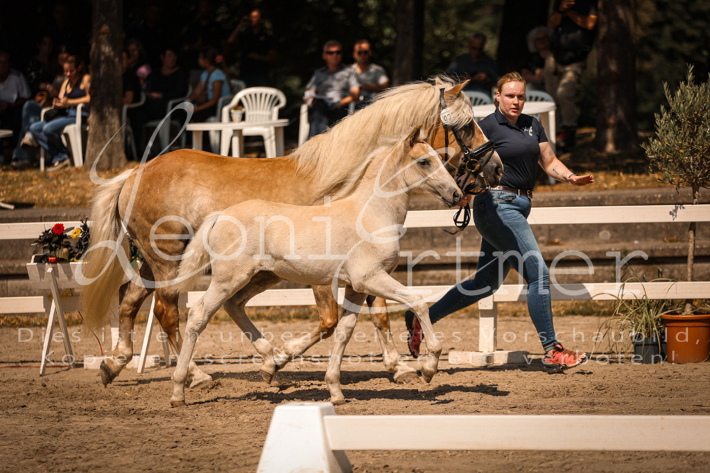 06.DoH00120 | Leoni Ertmer Photography - Realisiert mit Pictrs.com