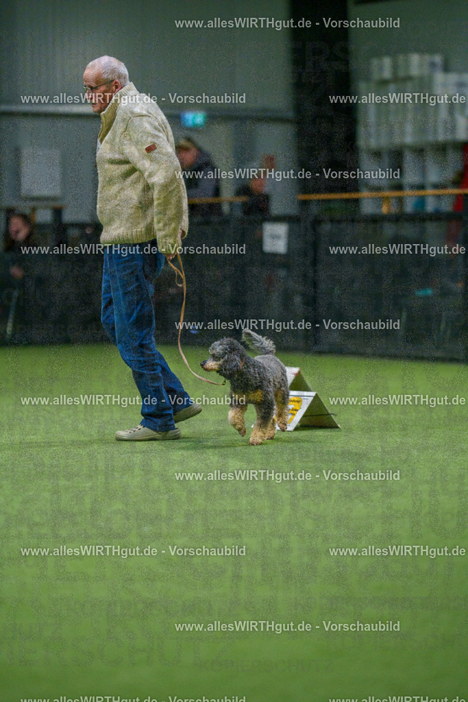 7R505690 | Professionelle Tierfotografie in Mönchengladbach von Daniel Wirth (allesWIRTHgut). Liebevolle & natürliche Bilder von Hunden & Katzen für unvergessliche Erinnerungen.