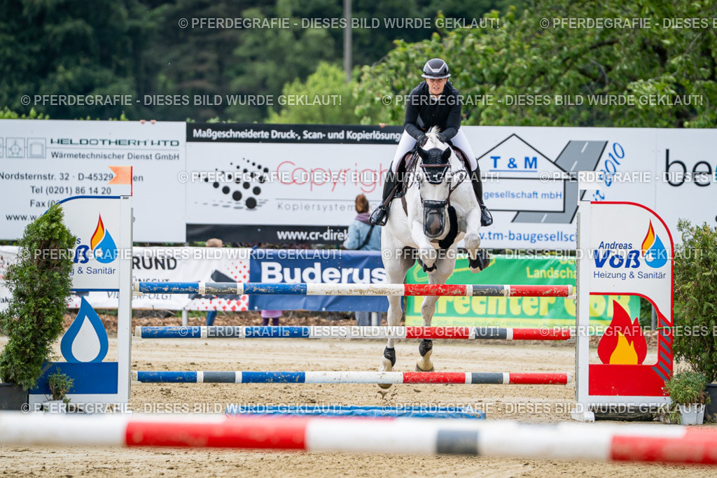 DSC05021 | Pferdegrafie