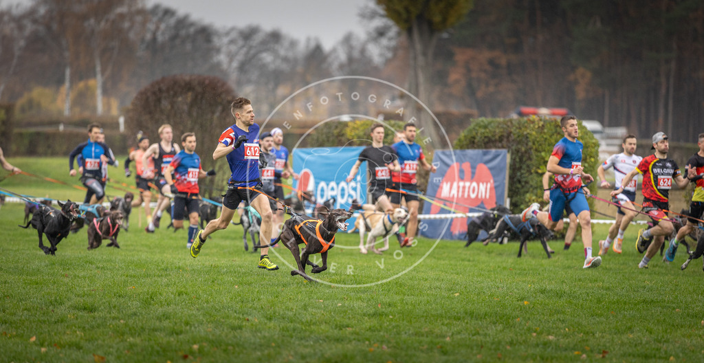 CaniXpix_DV3A9451 | Hundefotografie, Tierfotograf, Pfotenfotografie, Fotoshooting Hund, Hunde Portrait, Hundesport, Hundeportraits, Heideshooting, Hunde, Sportfotograf, Hundefotograf, Turnierhundsport, THS,  - Realisiert mit Pictrs.com