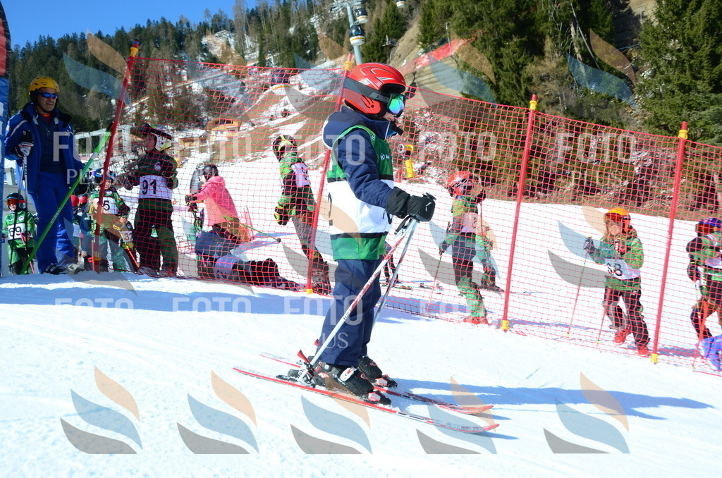 C5386 | holidayphoto