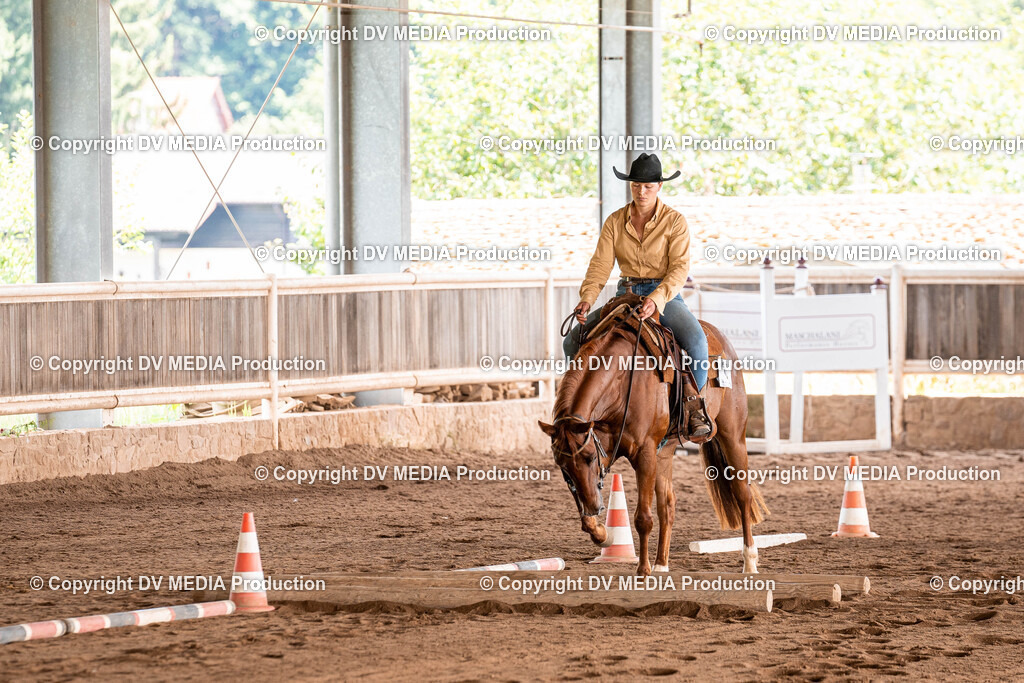 Erbach Tag 3-877 | dv-media-shop - Realisiert mit Pictrs.com