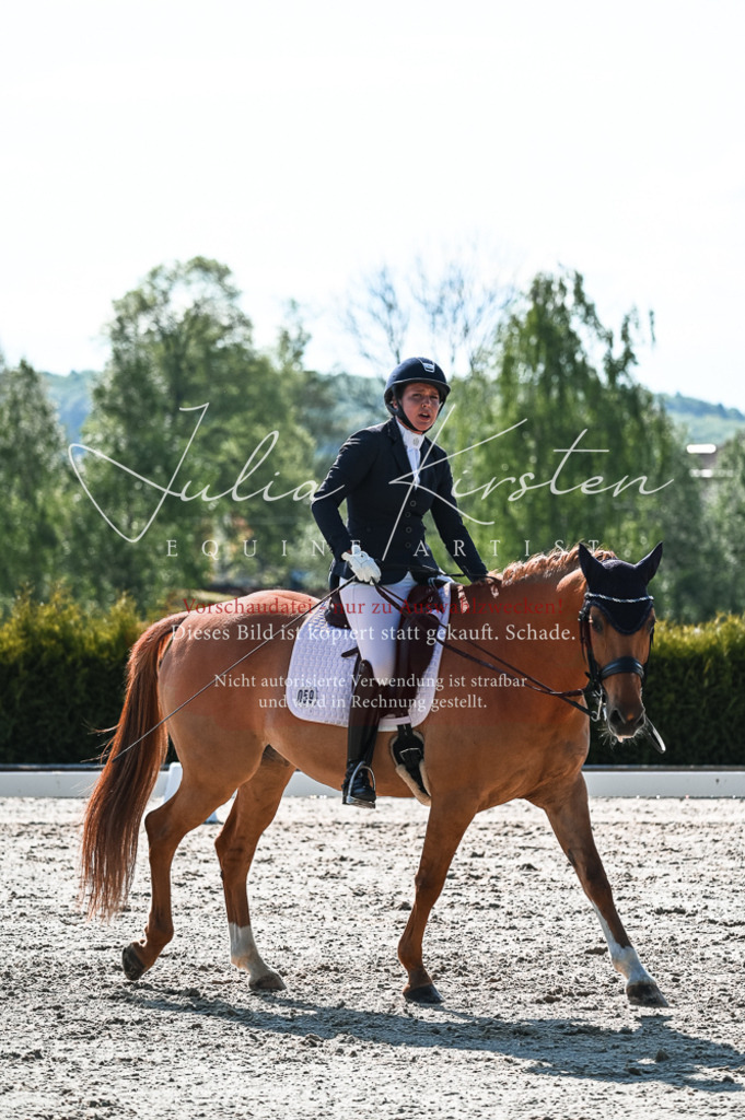 20230514_JK-Röhrsdorf-18-321 | Pferde- und Turnierfotografie in Westsachsen. Pferdeportraits, Auftragszeichnungen und intuitive Kunst.