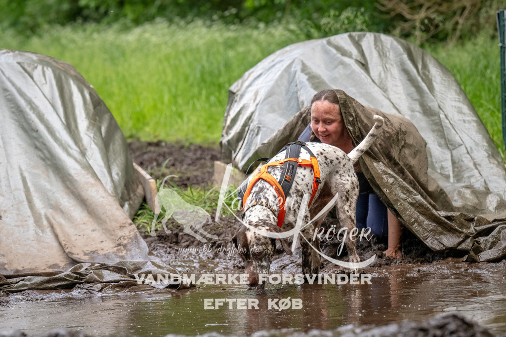 1535_ZZ94326-Bearbeitet | kk-dogfotos
