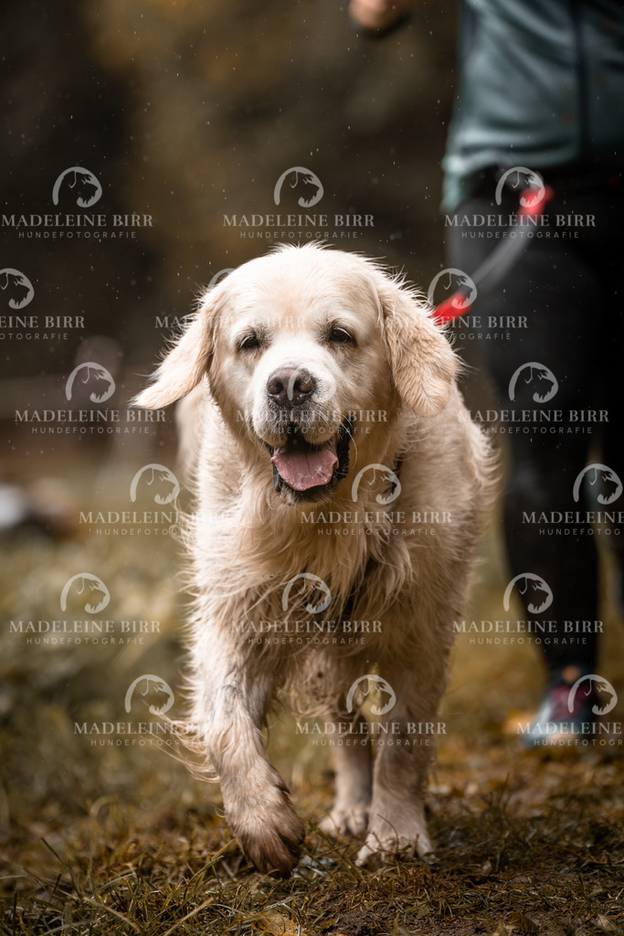 madeleinebirr-fotografie2025.campcanis.sa.10-11Uhr-9 | hundefotografie-birr