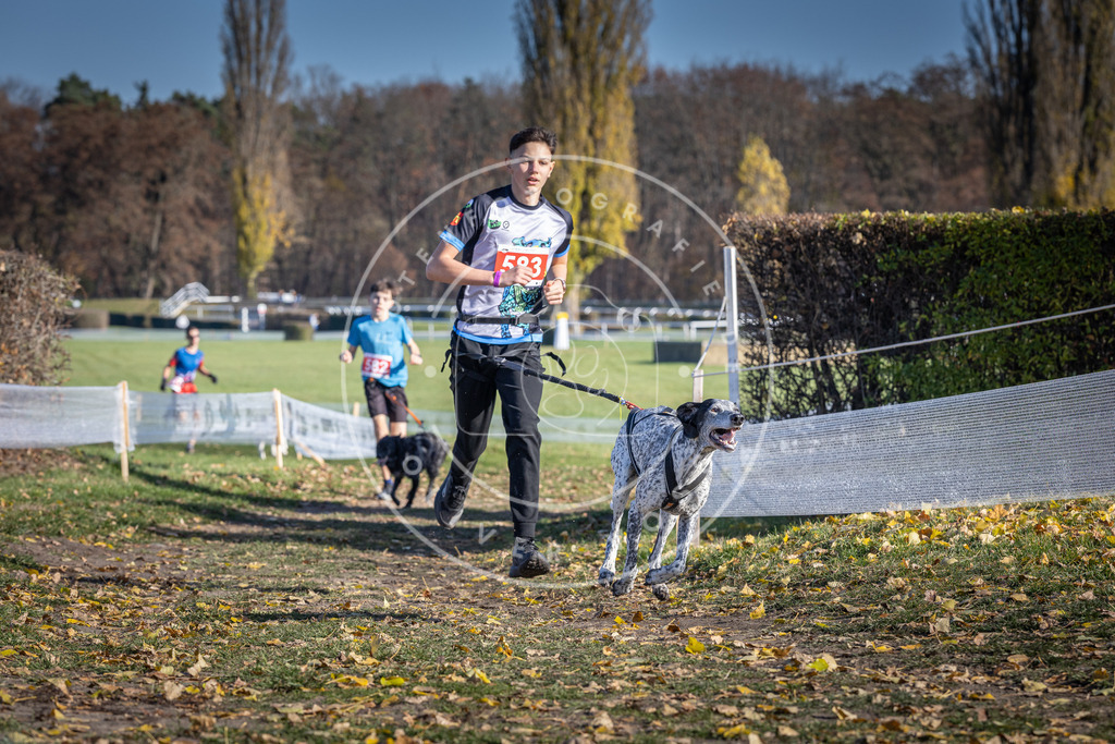 CaniXpix_DV3A9071 | Hundefotografie, Tierfotograf, Pfotenfotografie, Fotoshooting Hund, Hunde Portrait, Hundesport, Hundeportraits, Heideshooting, Hunde, Sportfotograf, Hundefotograf, Turnierhundsport, THS,  - Realisiert mit Pictrs.com