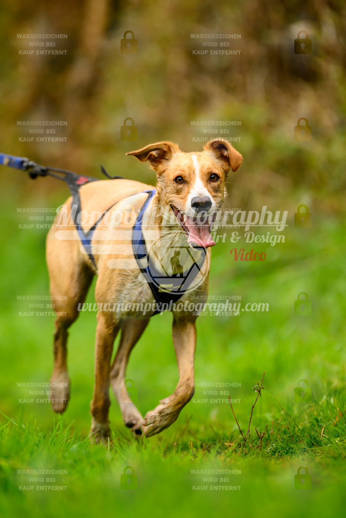 MompixPhotography_20TSB_E8_Run-87 | PayLife