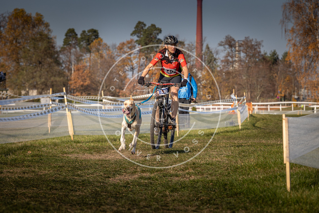 CaniXpix_0L8A7930 | Hundefotografie, Tierfotograf, Pfotenfotografie, Fotoshooting Hund, Hunde Portrait, Hundesport, Hundeportraits, Heideshooting, Hunde, Sportfotograf, Hundefotograf, Turnierhundsport, THS,  - Realisiert mit Pictrs.com