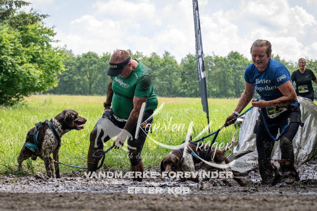 1138_ZZ93626 | kk-dogfotos