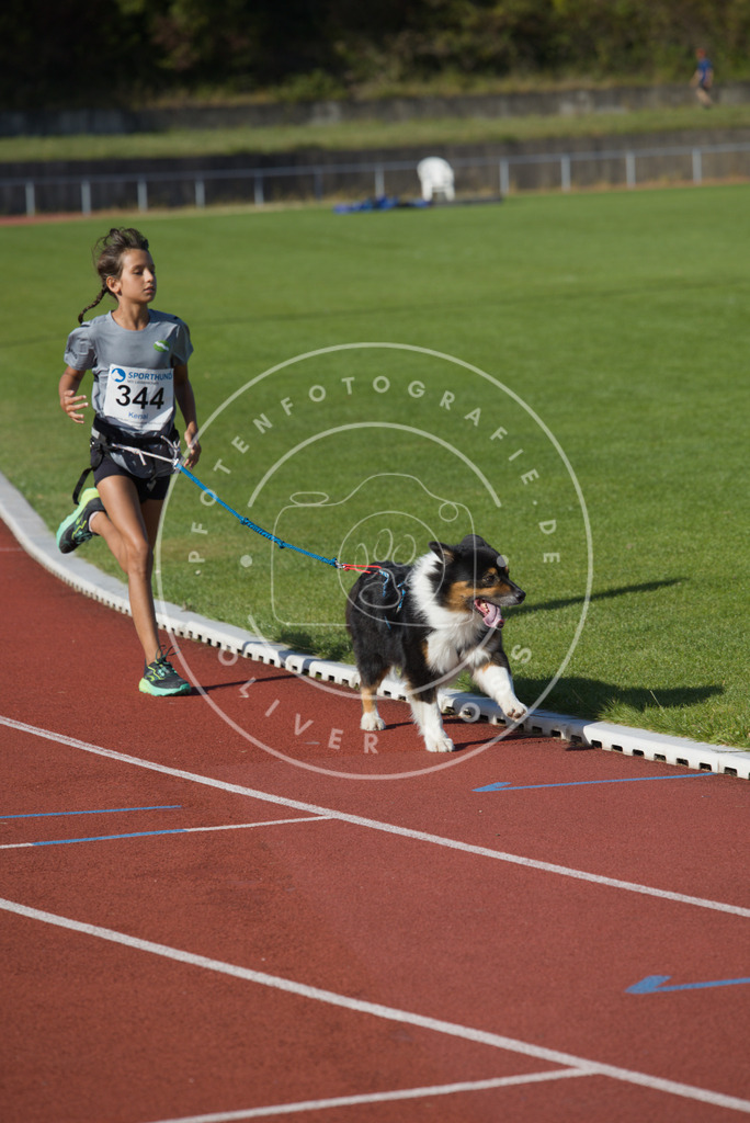 0L8A9092 | Hundefotografie, Tierfotograf, Pfotenfotografie, Fotoshooting Hund, Hunde Portrait, Hundesport, Hundeportraits, Heideshooting, Hunde, Sportfotograf, Hundefotograf, Turnierhundsport, THS,  - Realisiert mit Pictrs.com